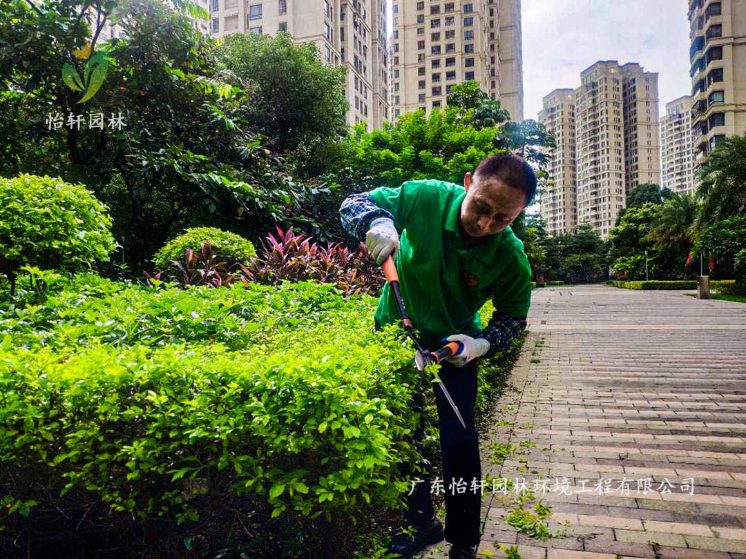 广州御湖名邸小区绿化养护